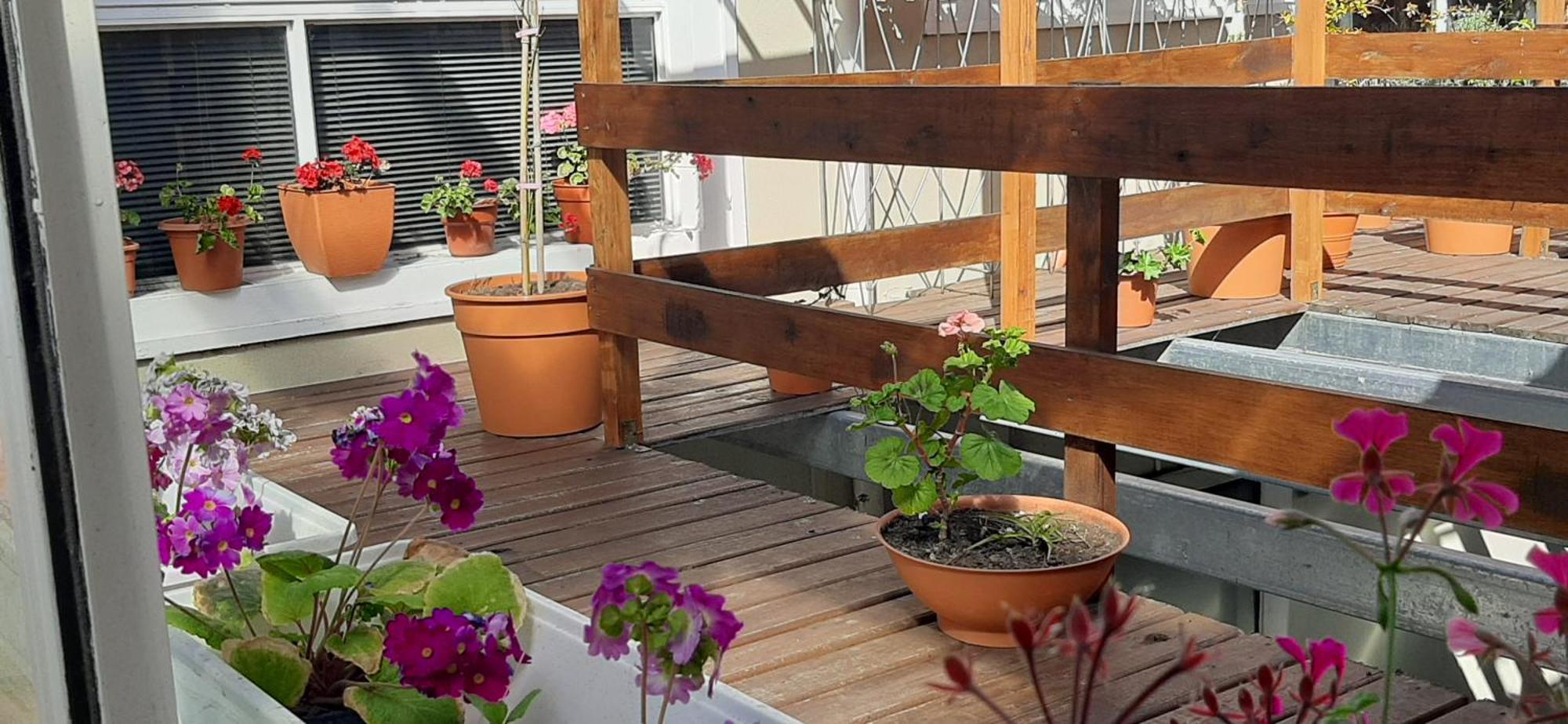 San Francisco Daire Mar del Plata Dış mekan fotoğraf